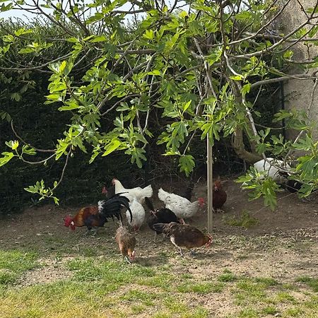 Gite A La Ferme Le Rousset Exterior foto