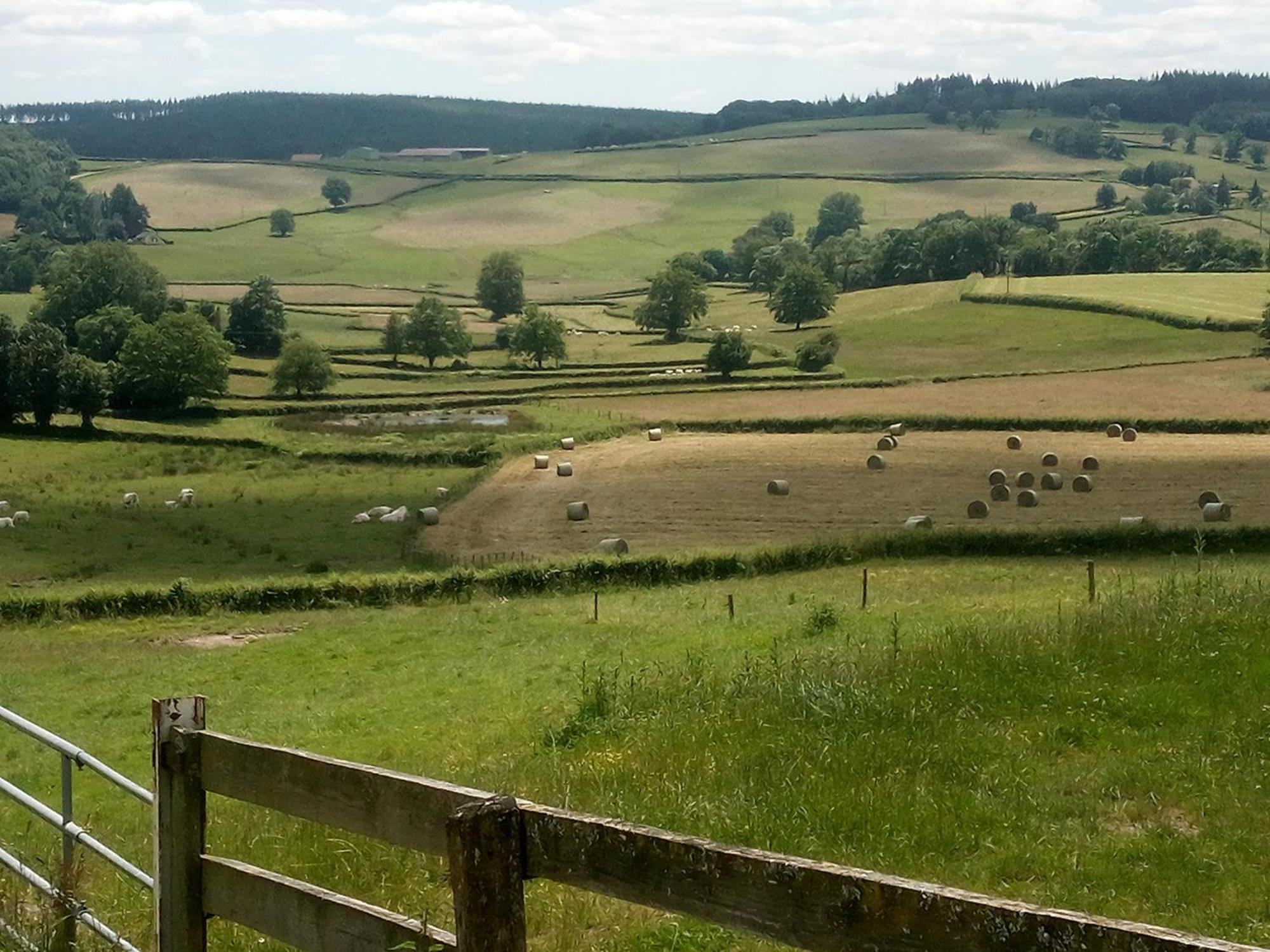 Gite A La Ferme Le Rousset Exterior foto